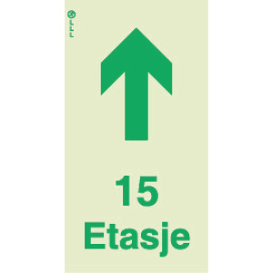 15 Etasje 1